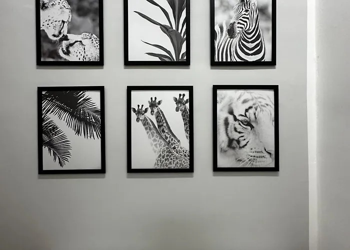 Tropeavibes Apartment Tropea